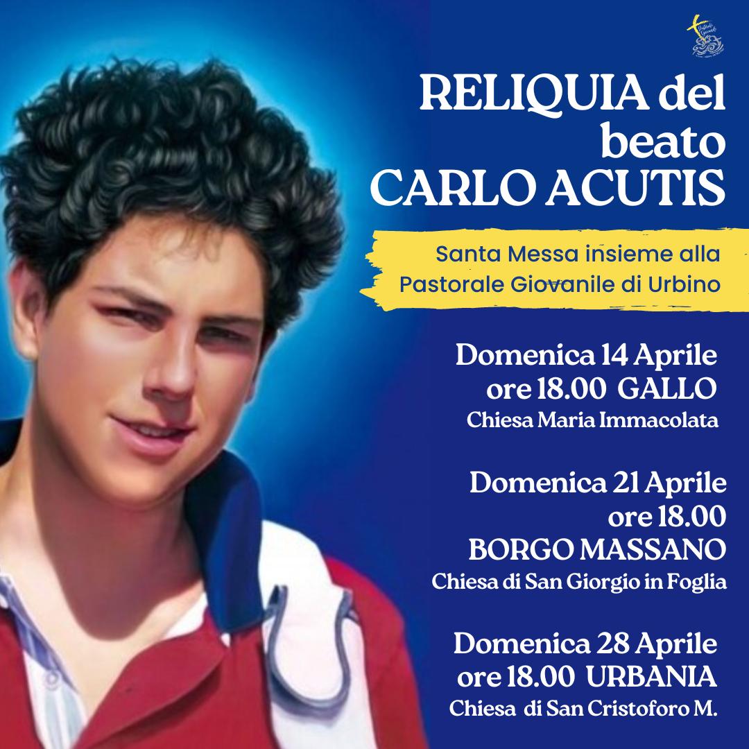 Reliquia Beato Carlo Acutis Urbino
