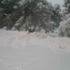 nevicata_morciola_14
