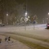 nevicata_morciola_27