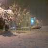nevicata_morciola_30