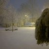 nevicata_morciola_36