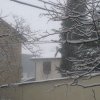 nevicata_morciola_38