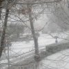 nevicata_morciola_4