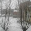nevicata_morciola_5