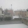 nevicata_morciola_9
