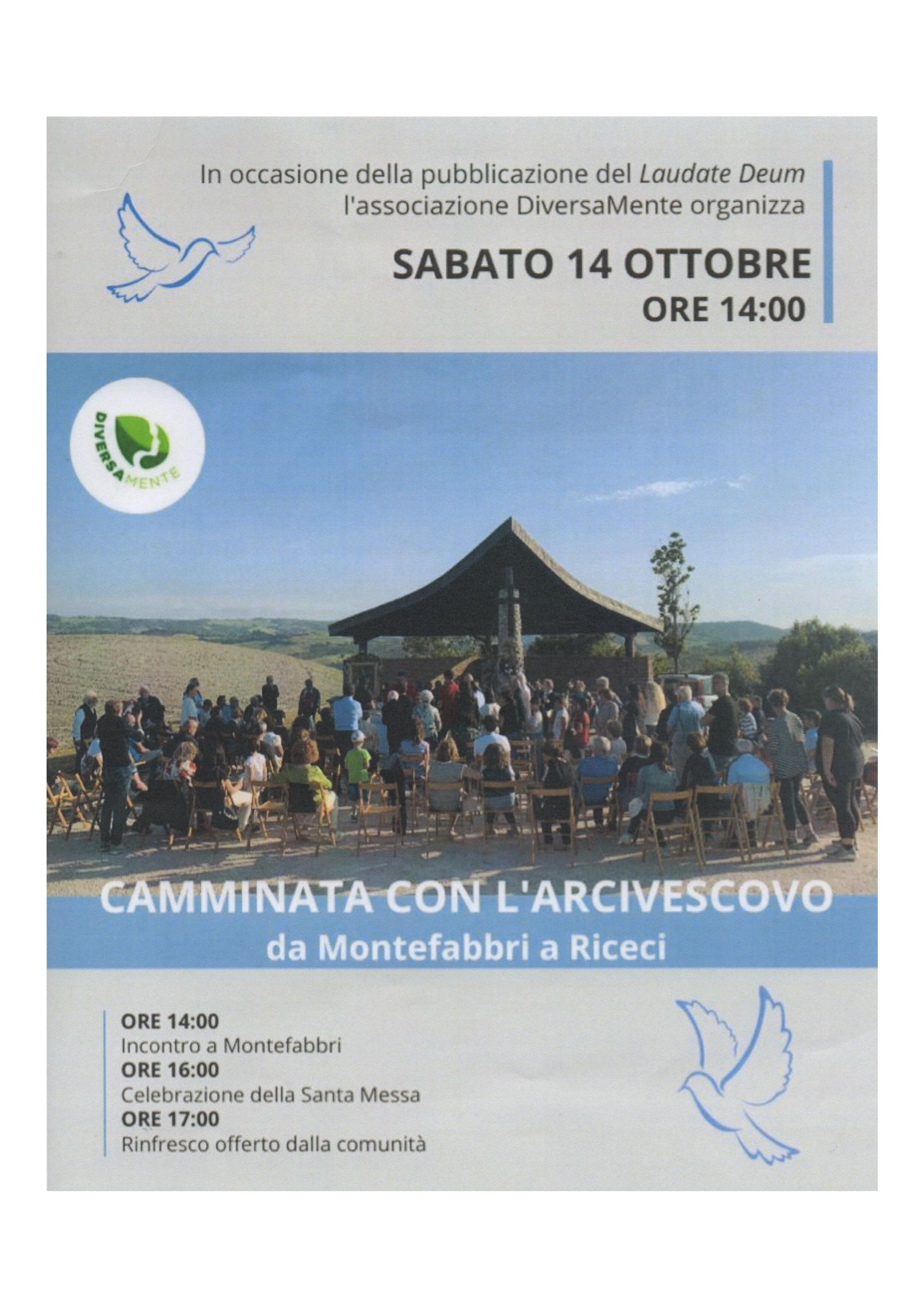 sab14 1